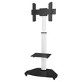 Carrello monitor Techly ICA TR3WH Supporto a Pavimento con Mensola Bia
