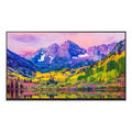 TV HOTEL 43" 4K UHD DVB-T2/S2 WEBOS25 SENZA BASE